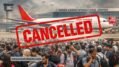International Flight Cancellations