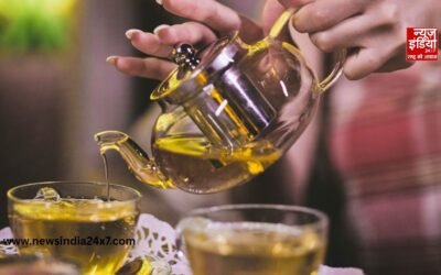 गर्मियों से पहले शुरू करें इस बीज का पानी पीना, लू से बचाव के साथ बढ़ेगी इम्यूनिटी