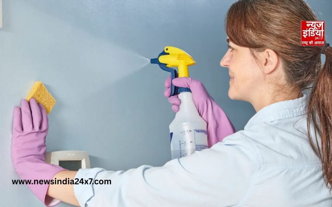 Holi Cleaning Tips: घर की दीवारों पर लग गया है होली का रंग? इन आसान तरीकों से करें साफ