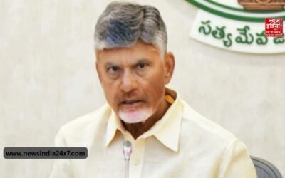 आंध्र प्रदेश में नई जनसंख्या प्रबंधन नीतिः दूसरा और तीसरा बच्चा पैदा करने पर मिलेंगे 25000 रुपये, सीएम चंद्रबाबू नायडू का बड़ा ऐलान