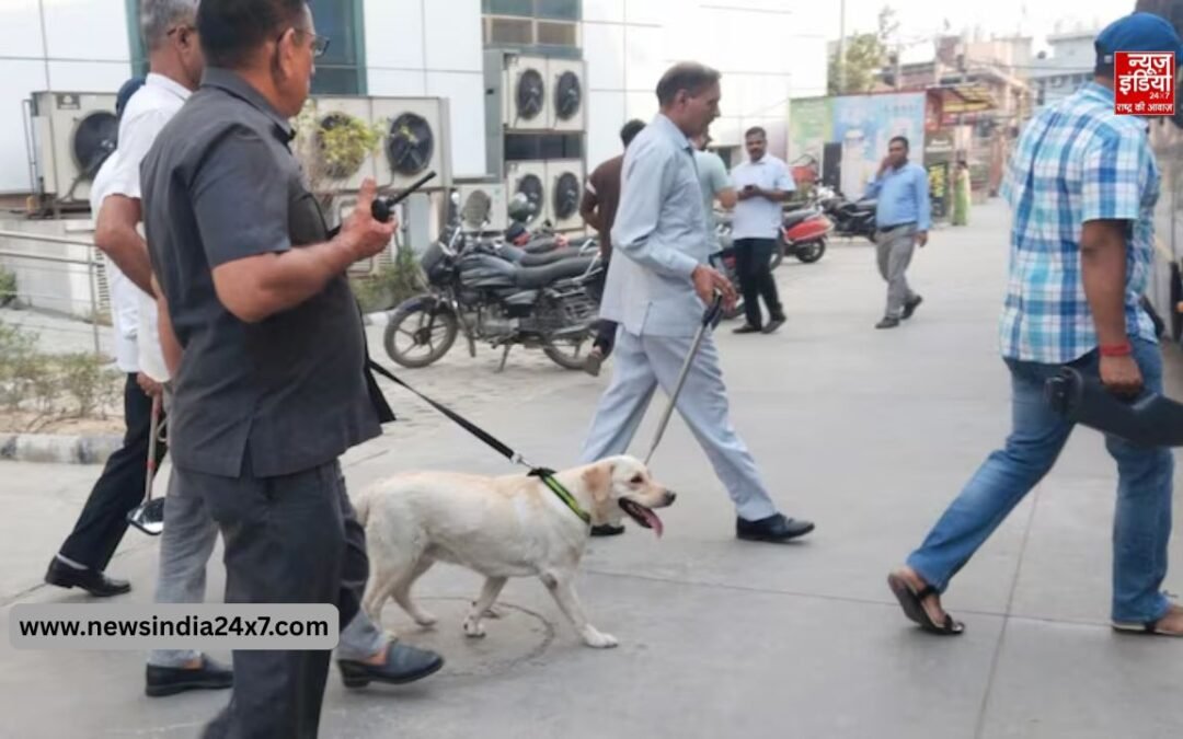 गुजरात के सरकारी ऑफिस और यूनिवर्सिटी को बम से उड़ाने की धमकी, एजेंसियां हुईं अलर्ट
