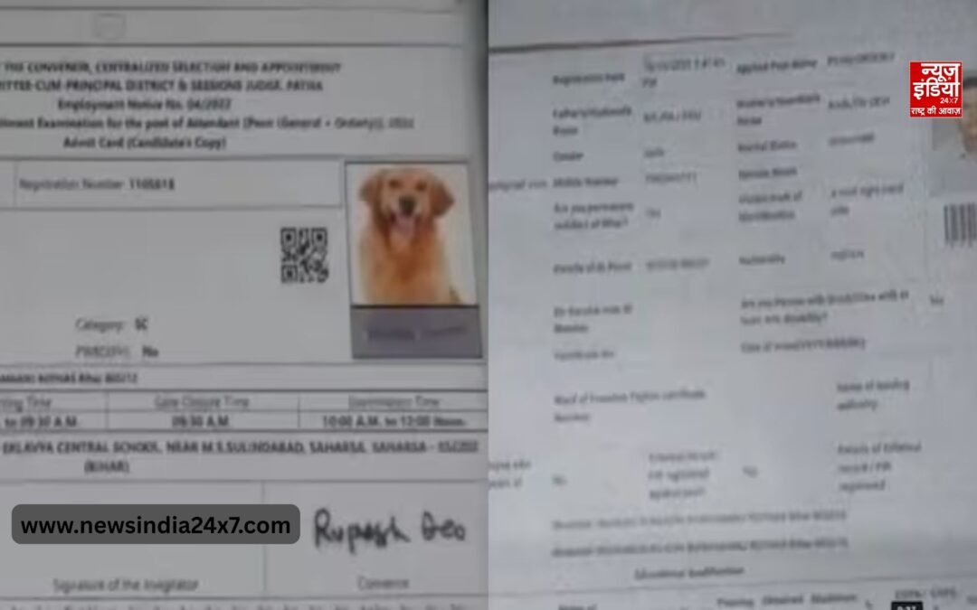 बिहार में कुत्ता भी देगा परीक्षा! एडमिड कार्ड पर नजर आई कुत्ते की फोटो
