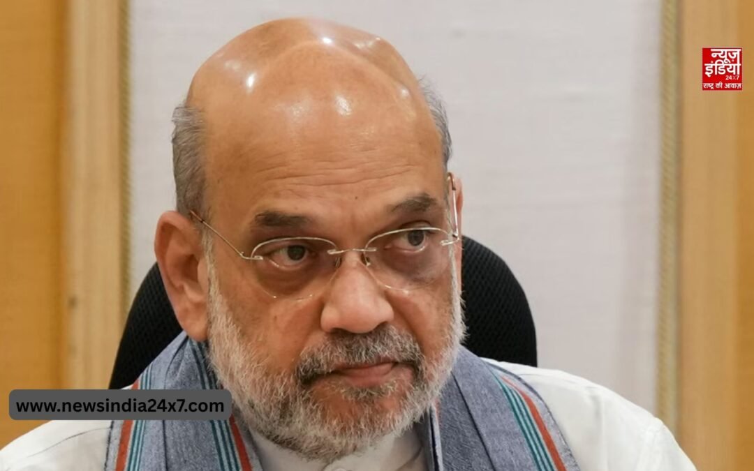 पश्चिम एशिया तनाव के बीच दिल्ली में ईंधन आपूर्ति की निगरानी के लिए उच्चस्तरीय समिति गठित, अमित शाह करेंगे लीड