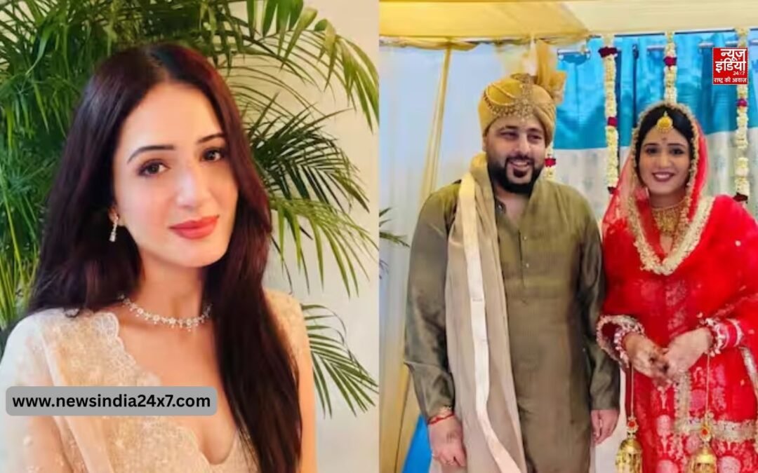 सिंगर बादशाह ने रचाई दूसरी शादी! तलाक के 6 साल बाद इस पंजाबी एक्ट्रेस संग लिए सात फेरे