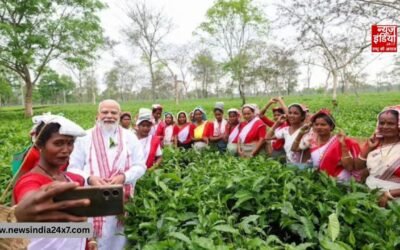 असम चुनाव के बीच चाय बागान पहुंचे PM मोदी, महिला मजदूरों संग तोड़ी पत्तियां और ली सेल्फी