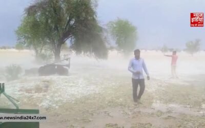 राजस्थान का बीकानेर बना कश्मीर! ओलों की सफेद चादर ने बदली तस्वीर, किसानों की बढ़ी चिंता