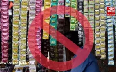 पान मसाला-तंबाकू पैकेजिंग पर सख्ती की तैयारी, प्लास्टिक सैशे पर लगेगा प्रतिबंध