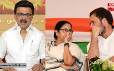 पश्चिम बंगाल से तमिलनाडु तक नतीजों के बाद राहुल गांधी हुए एक्टिव, 3 नेताओं से की फोन पर बातचीत