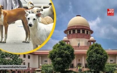 सुप्रीम कोर्ट का बड़ा फैसला, स्कूलों-हॉस्पिटल के आसपास आवारा कुत्तों की मौजूदगी स्वीकार नहीं; डॉग लवर्स की याचिकाएं खारिज