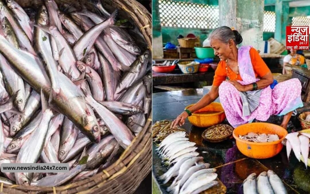 न बंगाल, न ओडिशा! जानिए कौन सा राज्य है भारत का सबसे बड़ा मछली उत्पादक