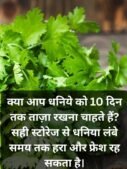 Keep Coriander Fresh for 10 Days