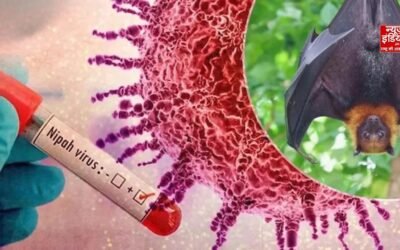 Kerala में Nipah Virus केस, कोझिकोड से 40 वर्षीय व्यक्ति संक्रमित, स्वास्थ्य विभाग अलर्ट पर