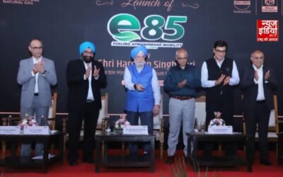 E85 Fuel हुआ लॉन्च, क्या पुरानी कारों पर पड़ेगा असर?