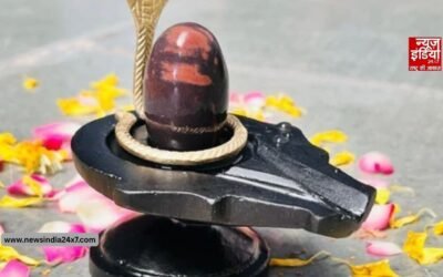 महादेव की कृपा पाने के लिए शिवलिंग पर ऐसे लगाएं चंदन, जानें संपूर्ण नियम