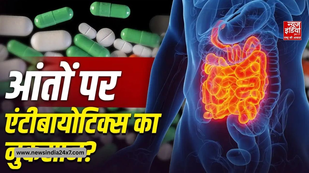 www.newsindia24x7.com – 2026-06-08T200310.451